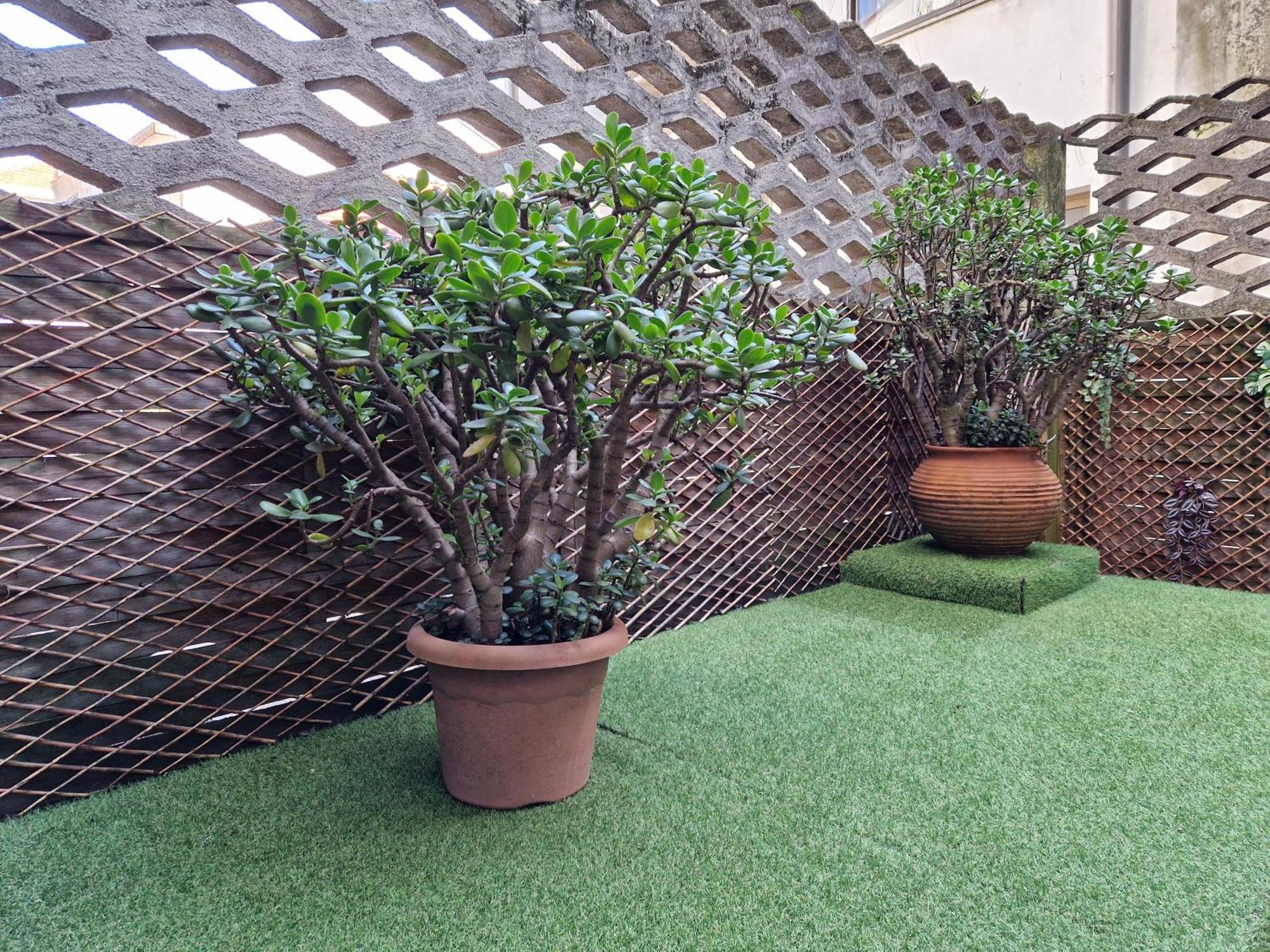 Double Room Terrace